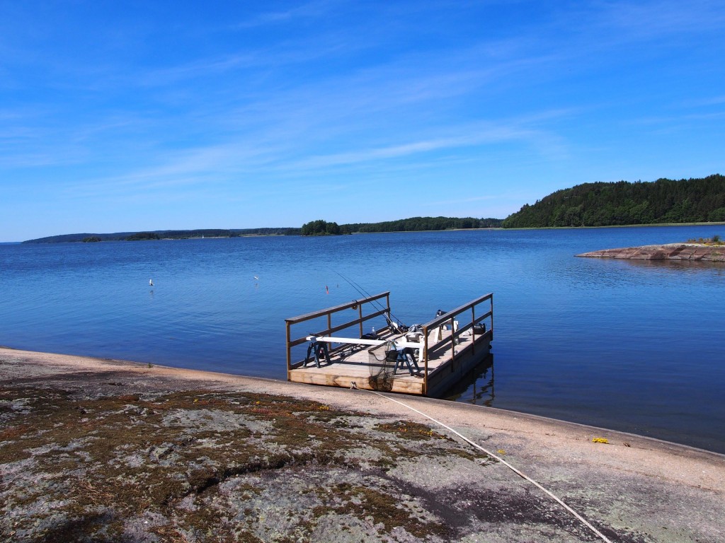 alexa-peng-schweden-13