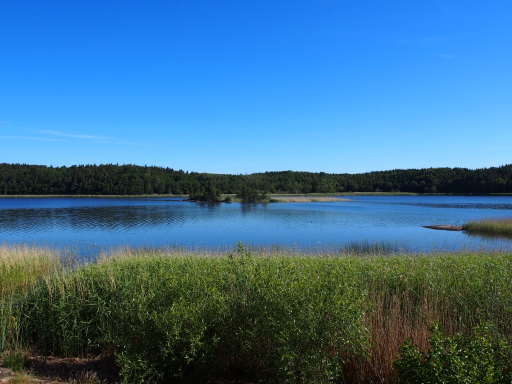 alexa-peng-schweden-14