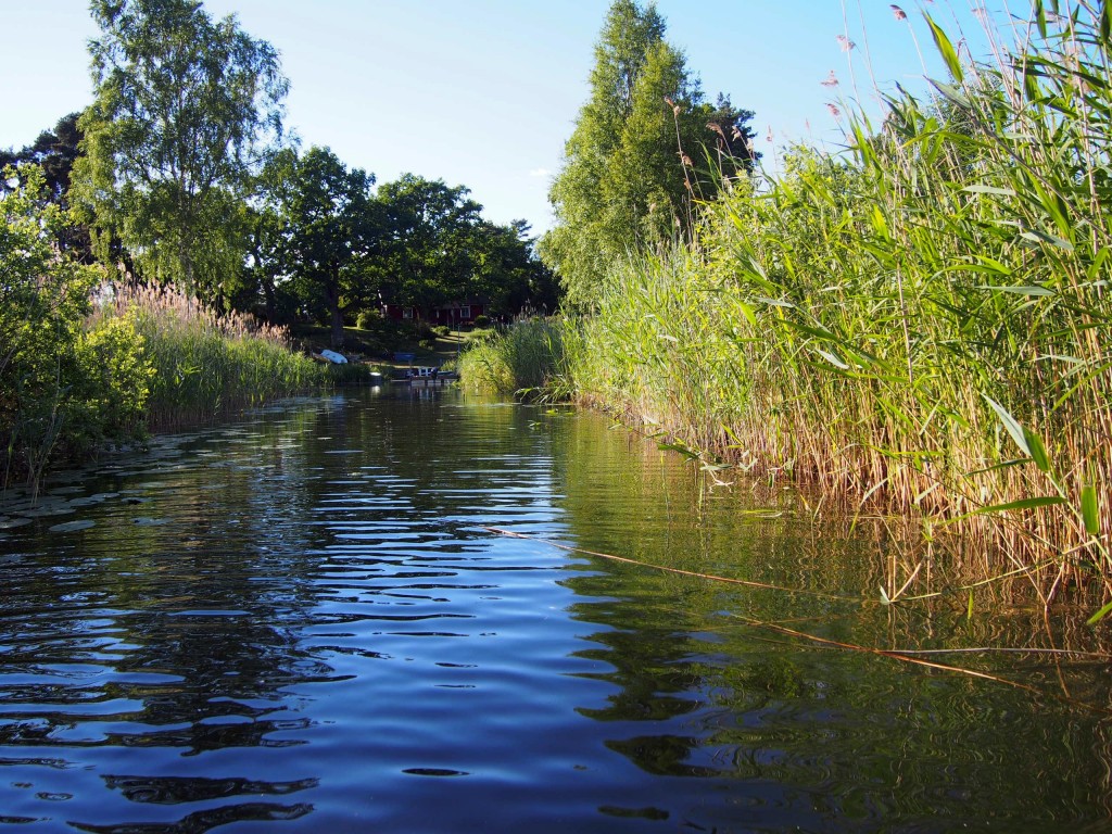 alexa-peng-schweden-17