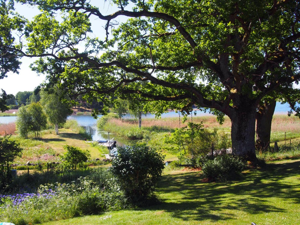 alexa-peng-schweden-25