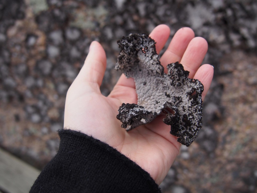 alexa-peng-schweden-35