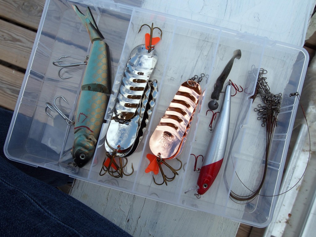 alexa-peng-schweden-37