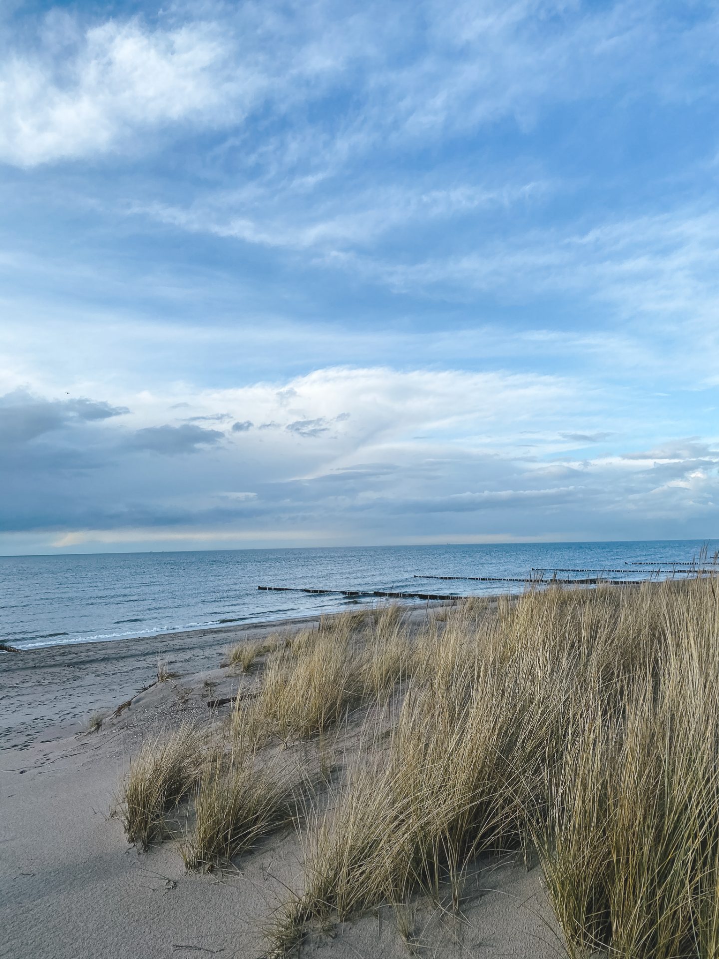 Strand Markgrafenheide